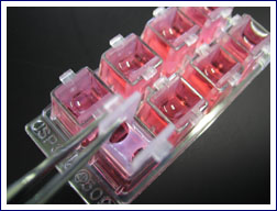 IVS Inserts
