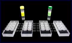 3D-Tissue Fabrication Kit